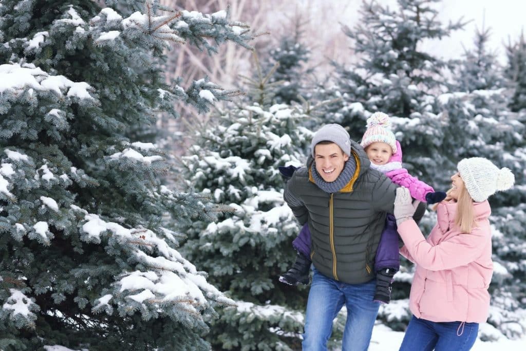 Family playing in snowy woods